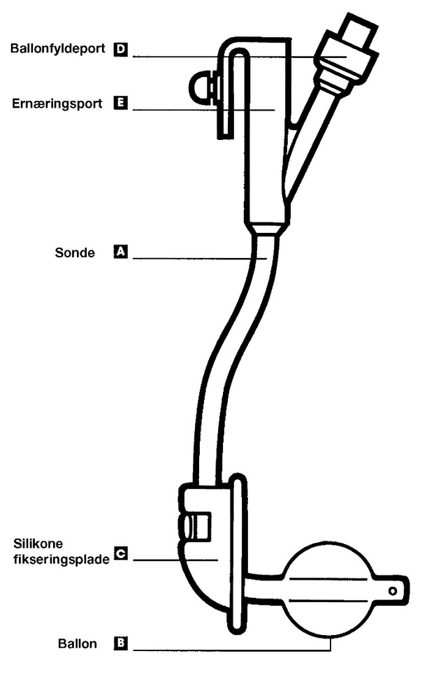 Billede 11