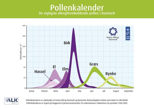 Pollenkalender.