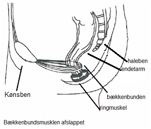 Beskrivelse findes i billedtekst og br&oslash;dtekst.