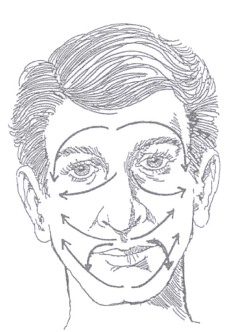 Massér fra midten af panden, rundt om øjenbrynet og ned mod tindingen i begge sider.
Massér fra næseryggen, følg kindbenet op mod tindingen i begge sider.
Massér fra mellem munden og næsen op mod kindbenet i begge sider.
Massér fra mellem munden og næsen rundt om munden, ned mod hagen i begge sider.
Massér fra hagen og op mod øret i begge sider.