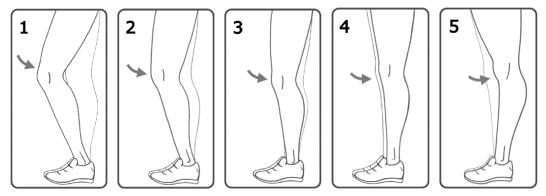 5 tegninger af en bevægelse, hvor en stående person fører knæet fra let fremadbøjet ind under sig og forbi lodret til let strakt bagud position.