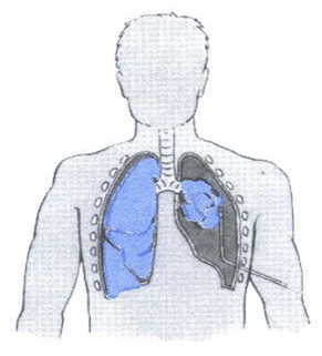 Beskrivelse i billedtekst