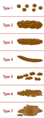 Bristolskalaen viser afføringskonsistens fordelt på 7 hårdhedsgrader. Type 1: separate hårde klumper, der ligner nødder. Type 2: pølseform, men med klumper. Type 3: ligner en pølse, men med revner på ydersiden. Type 4: ligner en pølse eller slange, blød og smidig. Type 5: bløde klumper med skarpe kanter - let at få ud. Type 6: iturevne småstykker. Type 7: vandig uden klumper - kun væske.