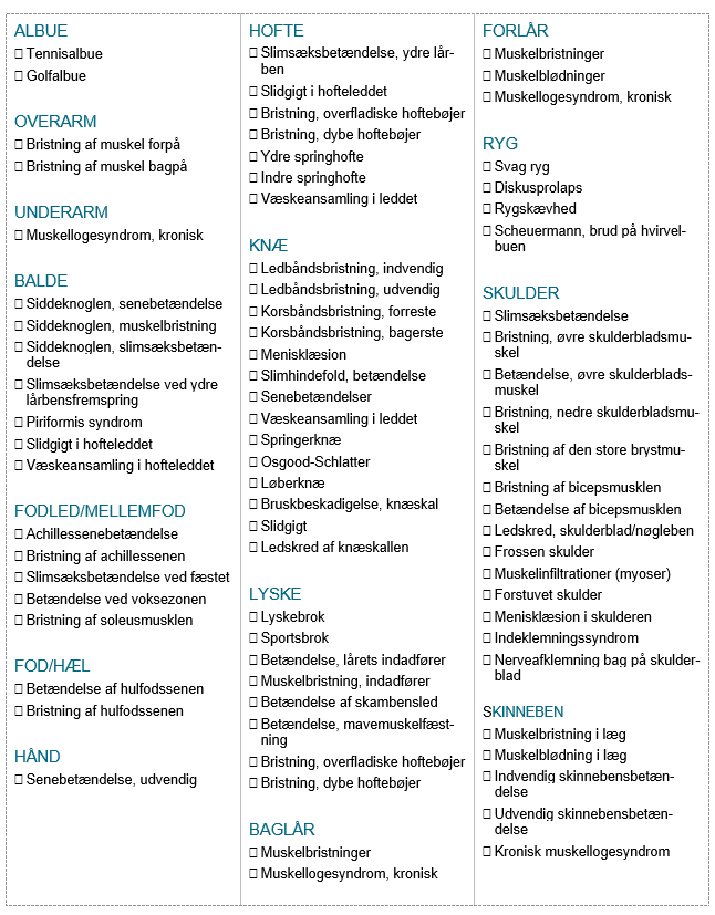 Afkrydsningsliste med en r&aelig;kke skadestilstande fordelt p&aring; kropsdele.